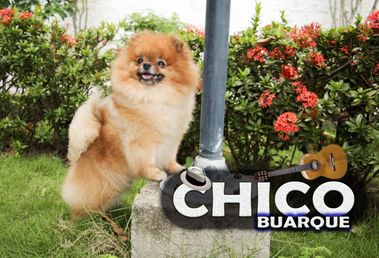 Chico