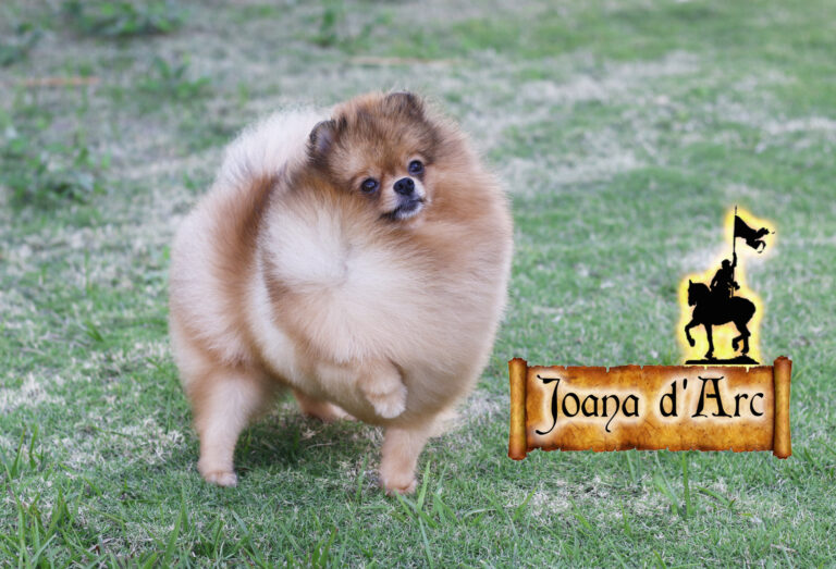 Joana