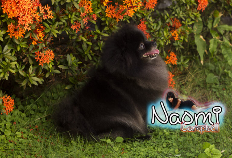 Naomi
