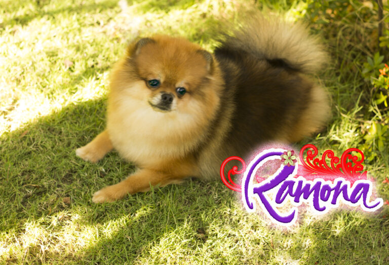 Ramona
